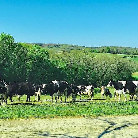 « Le Vieux Hangar » Gite A La Ferme Le Buisson-de-Cadouin Экстерьер фото