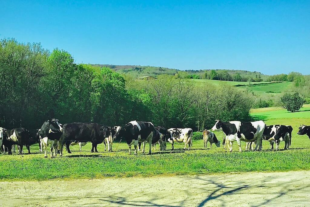 « Le Vieux Hangar » Gite A La Ferme Le Buisson-de-Cadouin Экстерьер фото