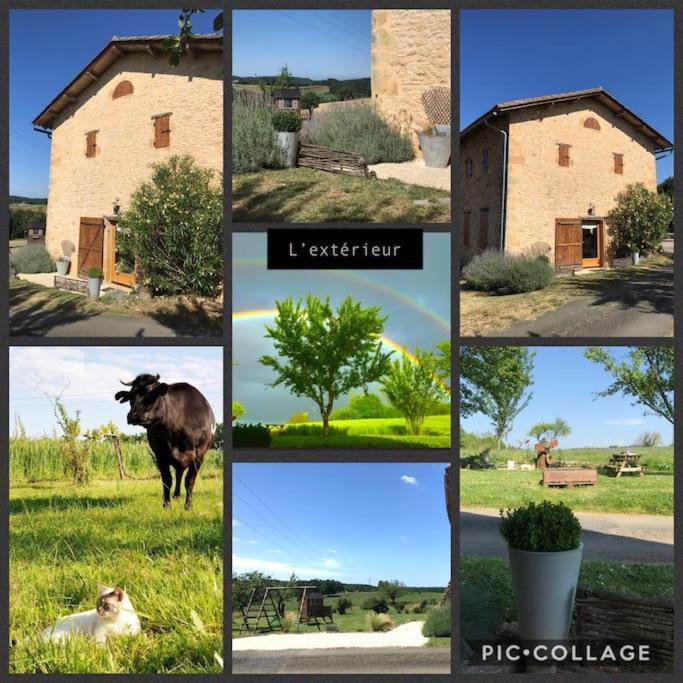 « Le Vieux Hangar » Gite A La Ferme Le Buisson-de-Cadouin Экстерьер фото